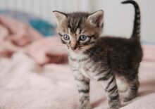 글자 길이 오버 테스트 글자 길이 오버 테스트 글자 길이 오버 테스트 글자 길이 오버 테스트